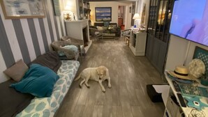 A narrow hallway with a sofa, a dog lying on the floor, and a television on the right.