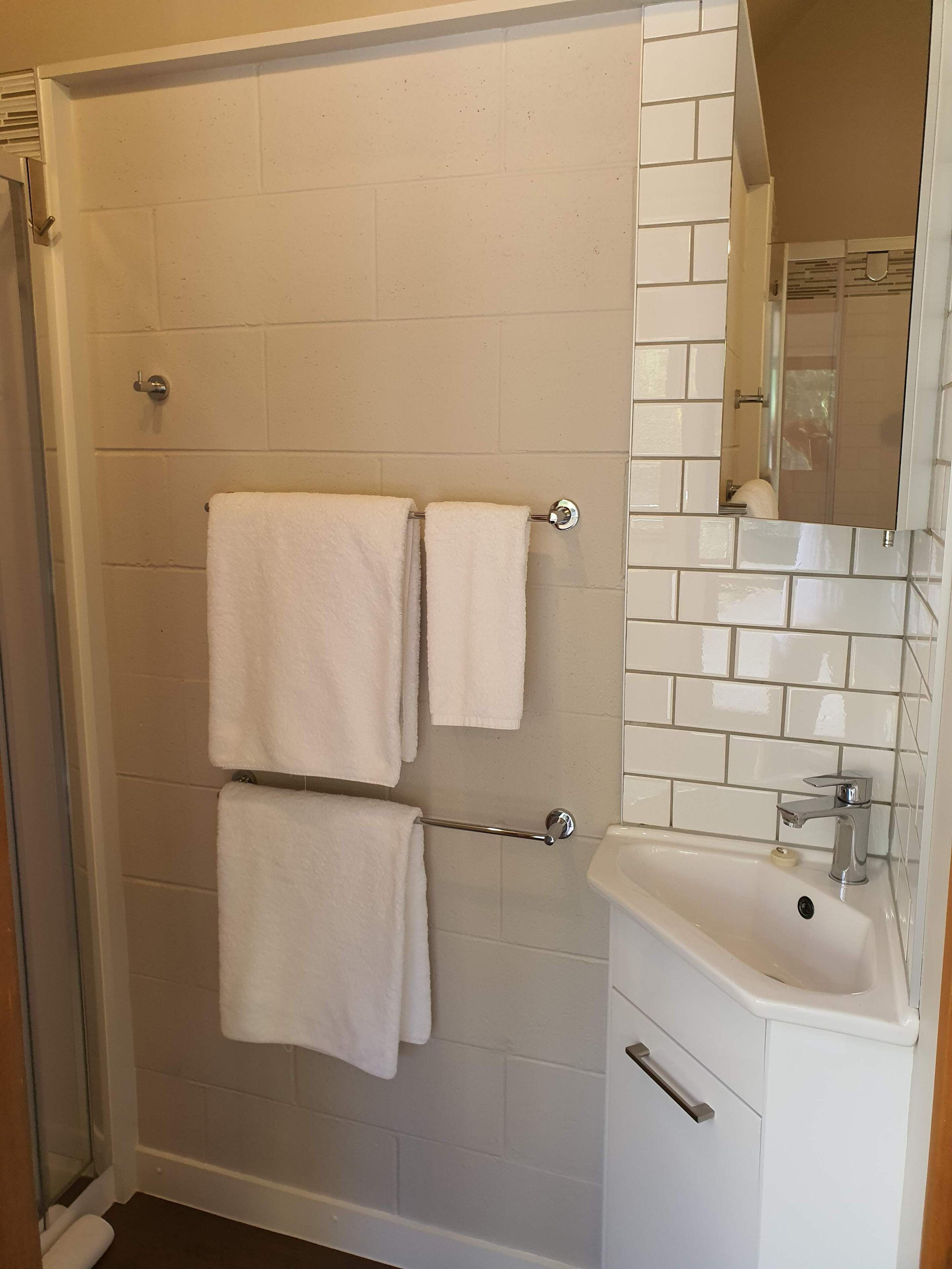 Ein Badezimmer mit Dusche, Waschbecken und Spiegel.