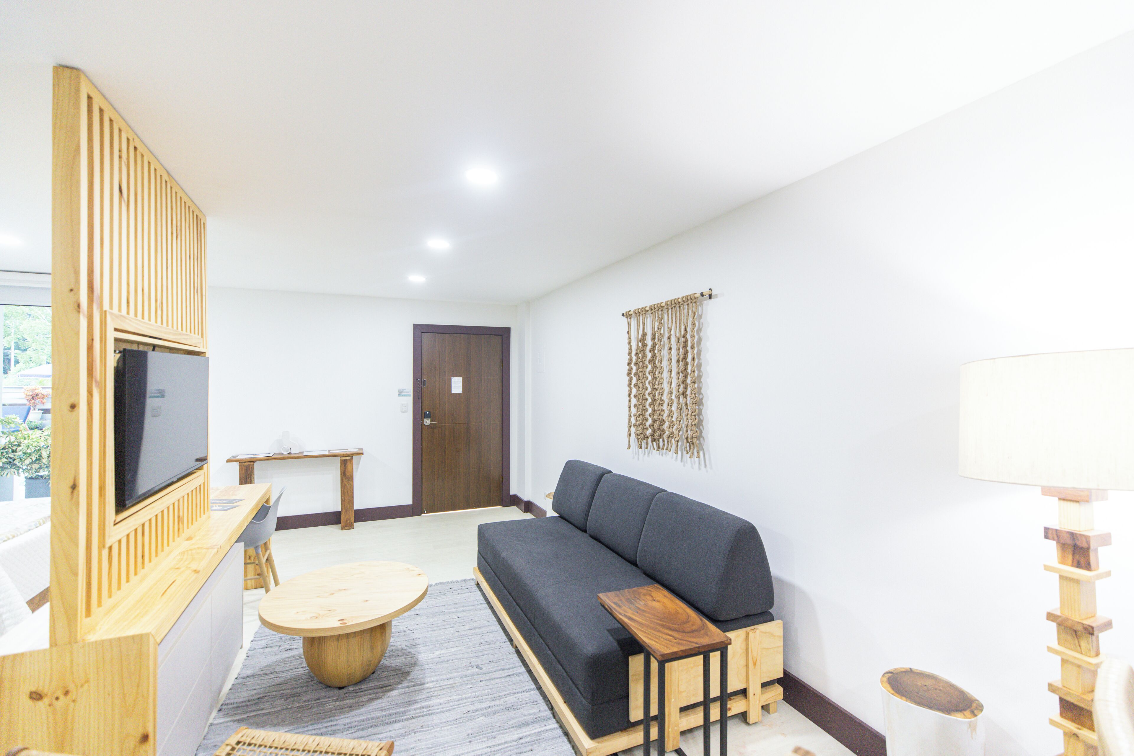 A modern living room with a sofa, TV, wooden furniture, and a door.