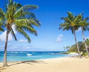 A beach with palm trees and a clear blue sky.
