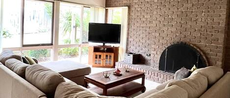 TV, fireplace, books