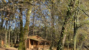 A rustic wooden cabin surrounded by trees in a forest. - 1 Bedroom Chalet in Le Buisson de Cadouin (Le Buisson de Cadouin)