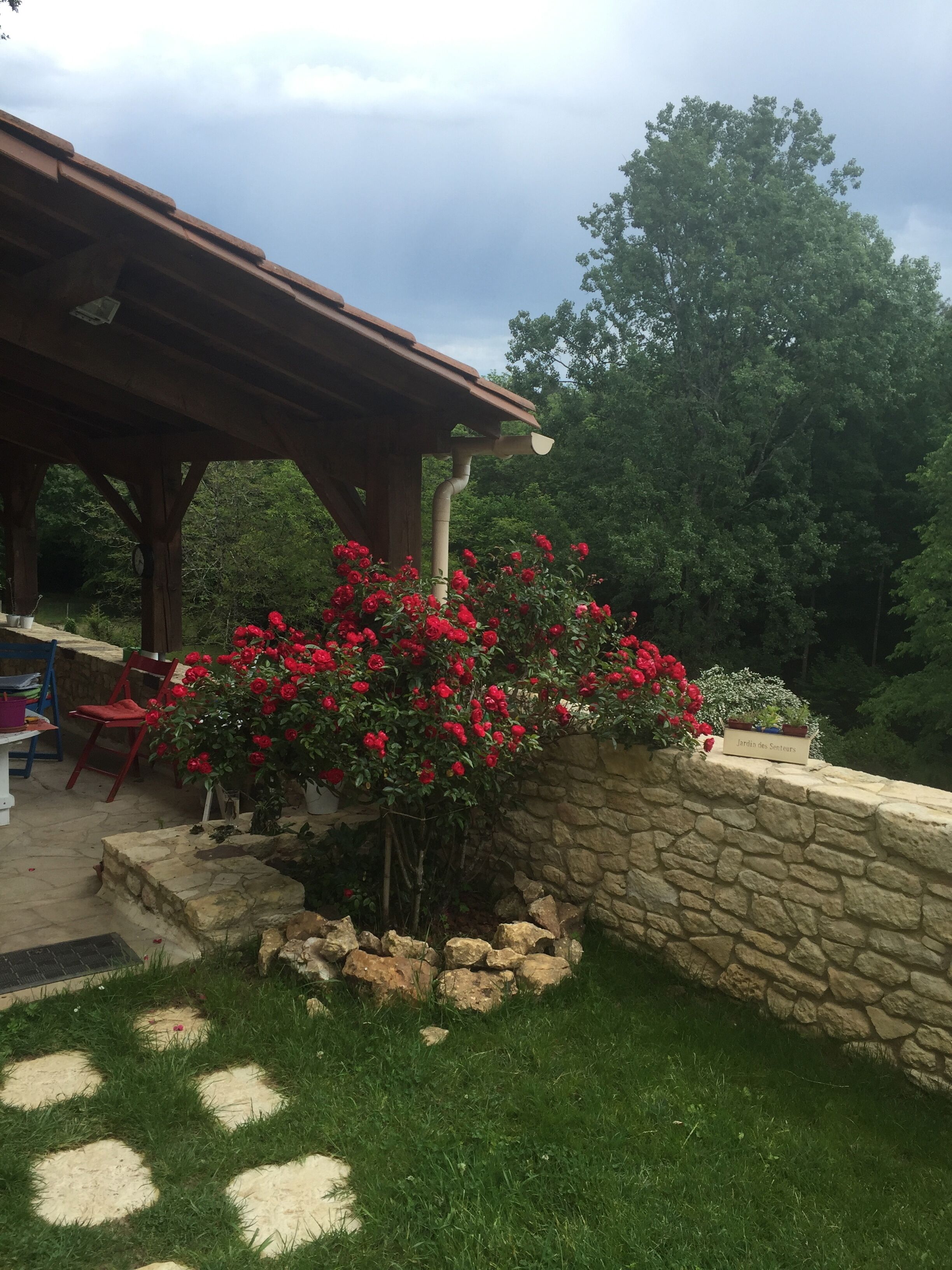 A covered patio area with a stone wall and a red flowering plant.