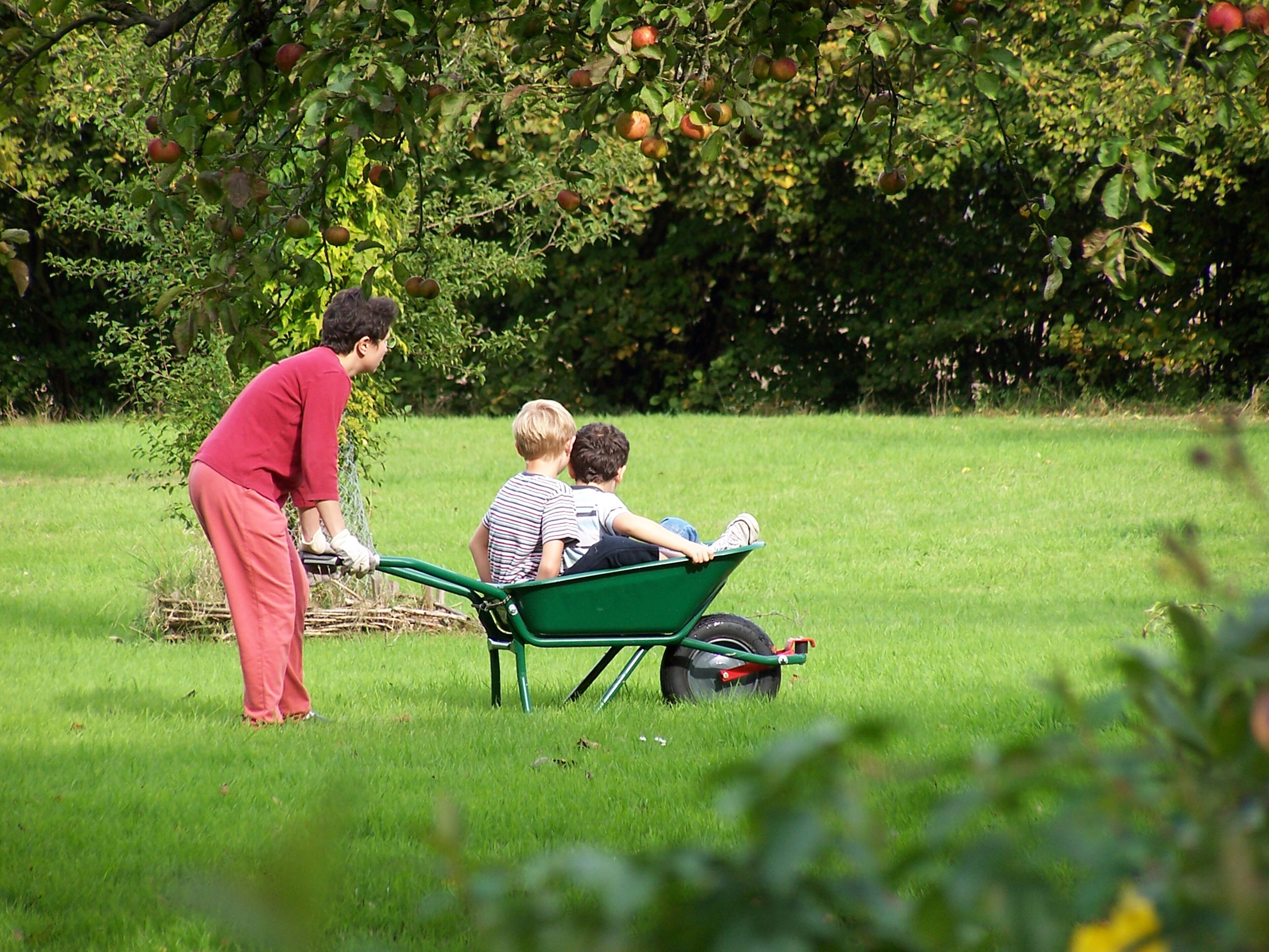 A person in a red shirt and pink pants pushing a green wheelbarrow with two children sitting inside.