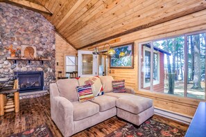 Televisión, chimenea, reproductor de DVD y libros 