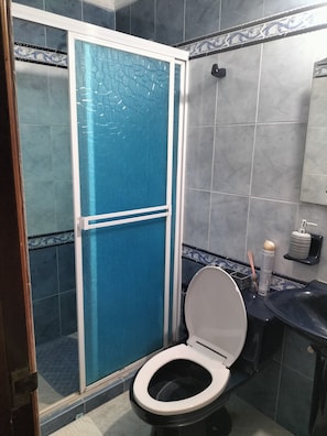 Regadera, toallas, jabón, shampoo