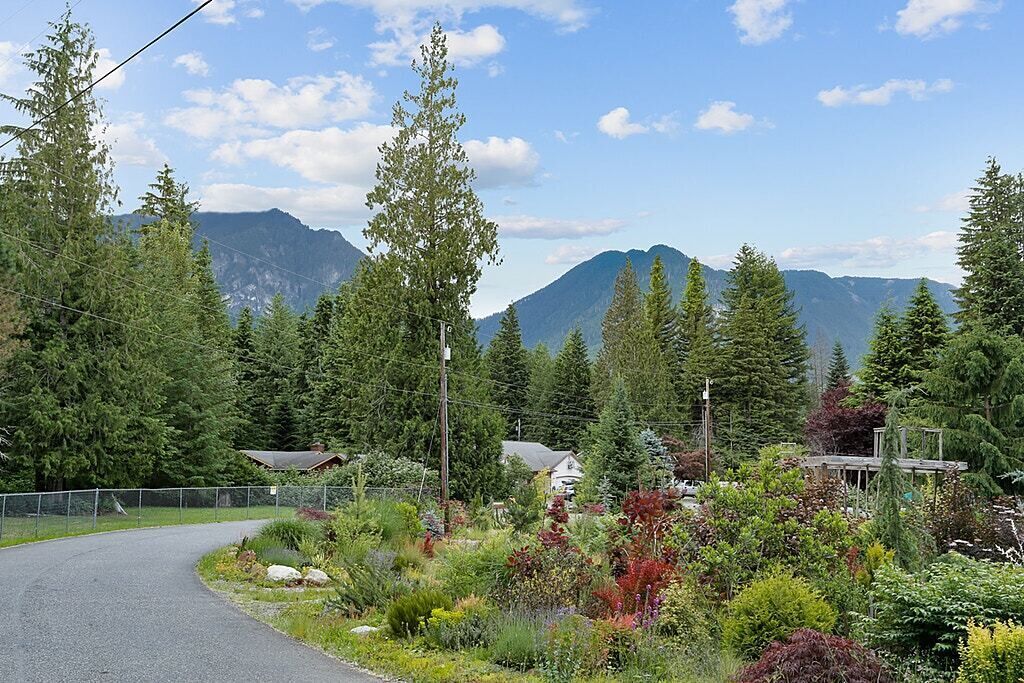 A rural road curving through a forested area with mountains in the background.