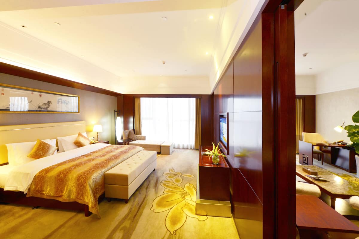 Comfort Studio Suite
