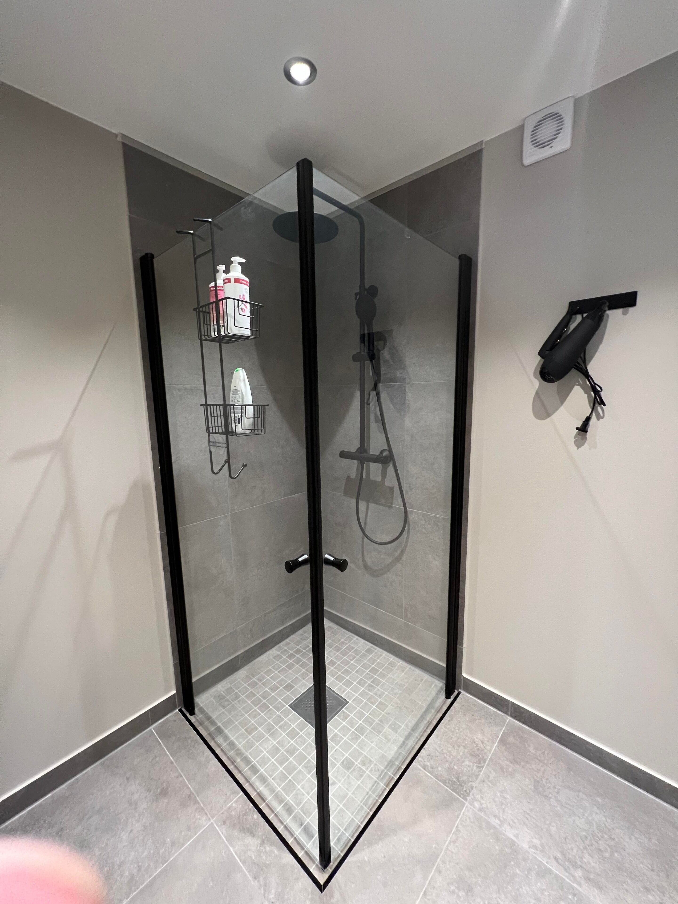 A modern shower enclosure with a glass door, a handheld showerhead, and a wall-mounted hairdryer.