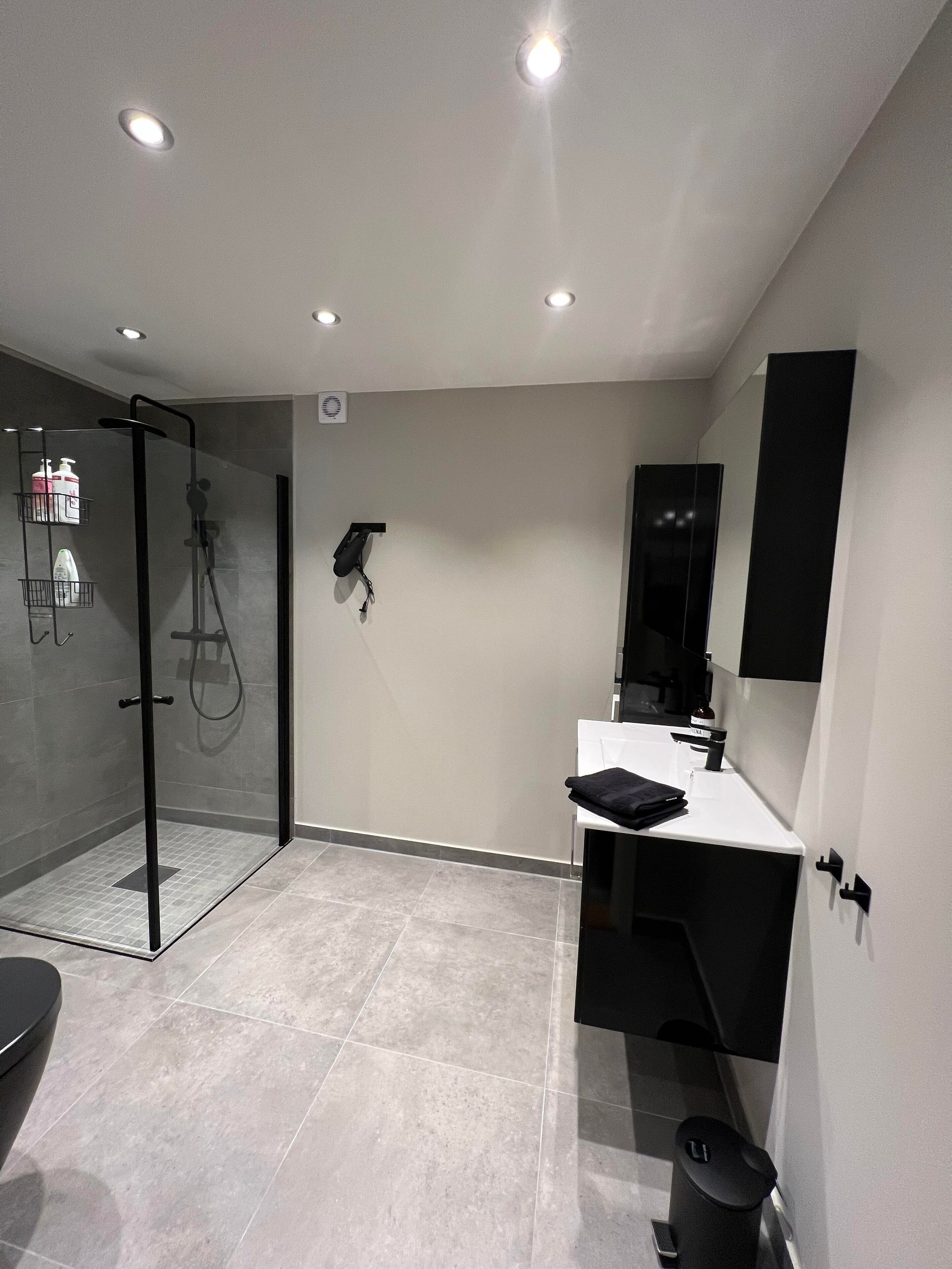Kostenlose Toilettenartikel, Haartrockner, Handtücher, Toilettenpapier