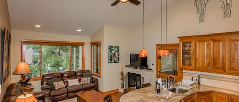 TV, fireplace, music library, video library