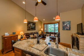 Fernseher, Kamin, Musikbibliothek, Videothek