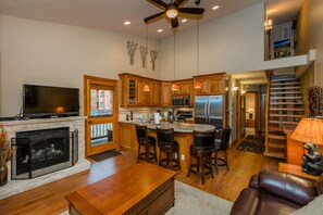 Fernseher, Kamin, Musikbibliothek, Videothek