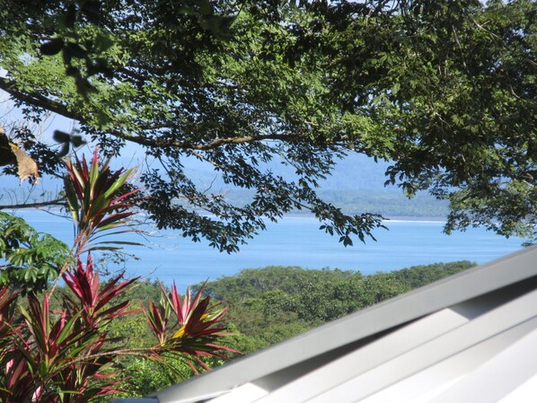 A view of a coastal landscape with dense foliage and a clear view of the sea.