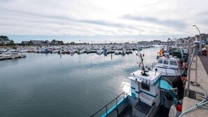 Uma marina com vários barcos atracados, céu claro e edifícios ao fundo.