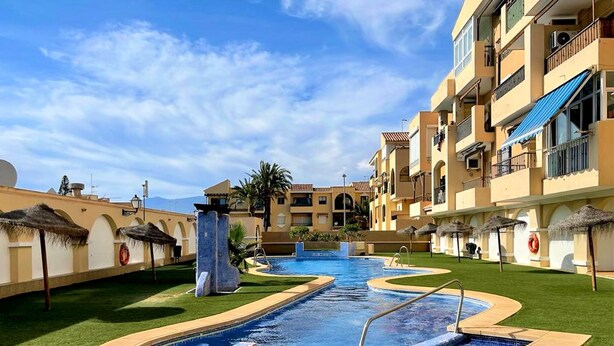 A swimming pool area with a curved design, surrounded by a well-maintained lawn and palm trees.