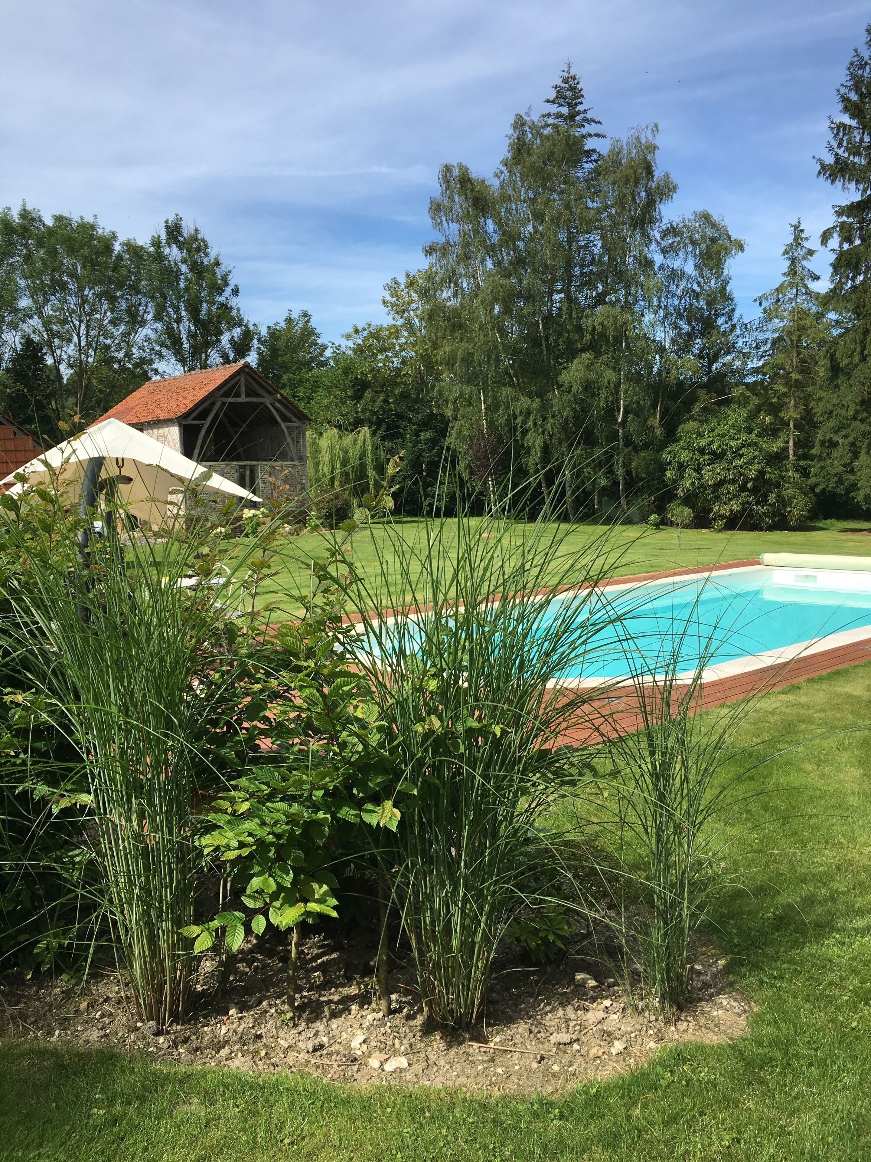 Ein Schwimmbecken, umgeben von einer Rasenfläche, mit einem Steinhaus und Bäumen im Hintergrund.