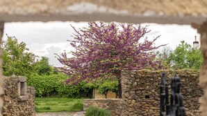 A stone pathway leading to a rustic stone building with a purple flowering tree in the center.