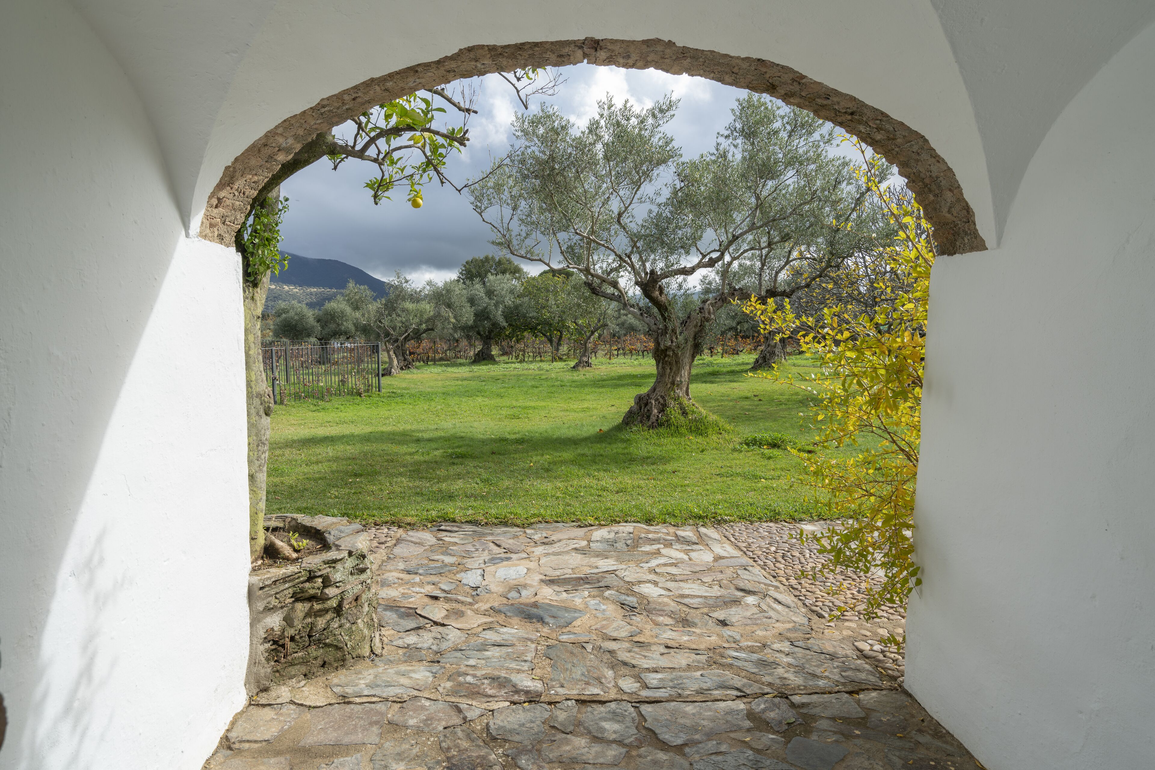 Photo - Finca El Azahar