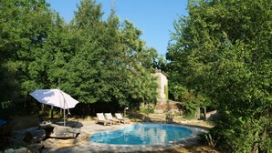 Ein von Bäumen umgebener Swimmingpool mit Liegestühlen und Sonnenschirm.