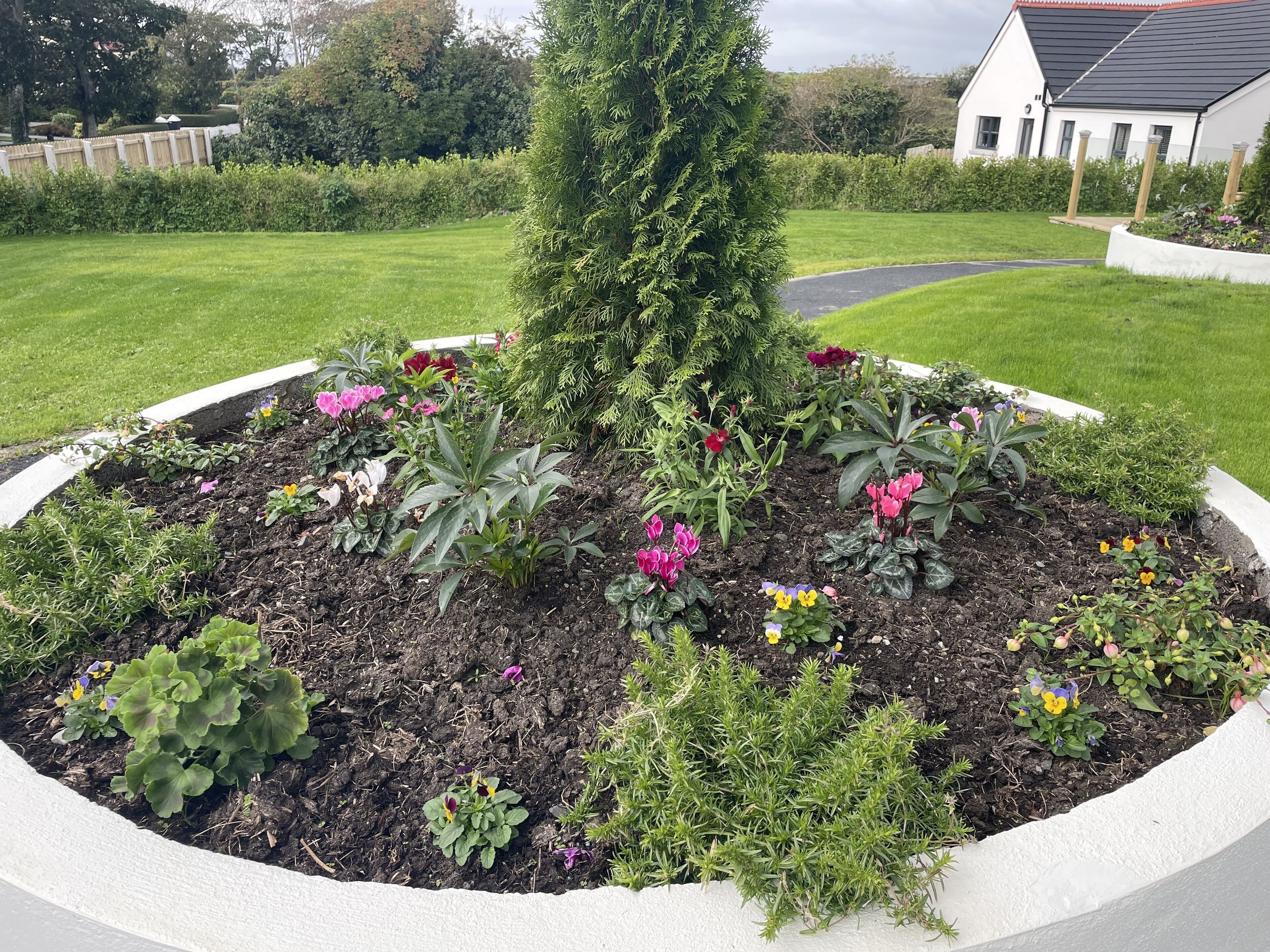 House | Property grounds