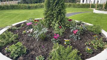 House | Property grounds