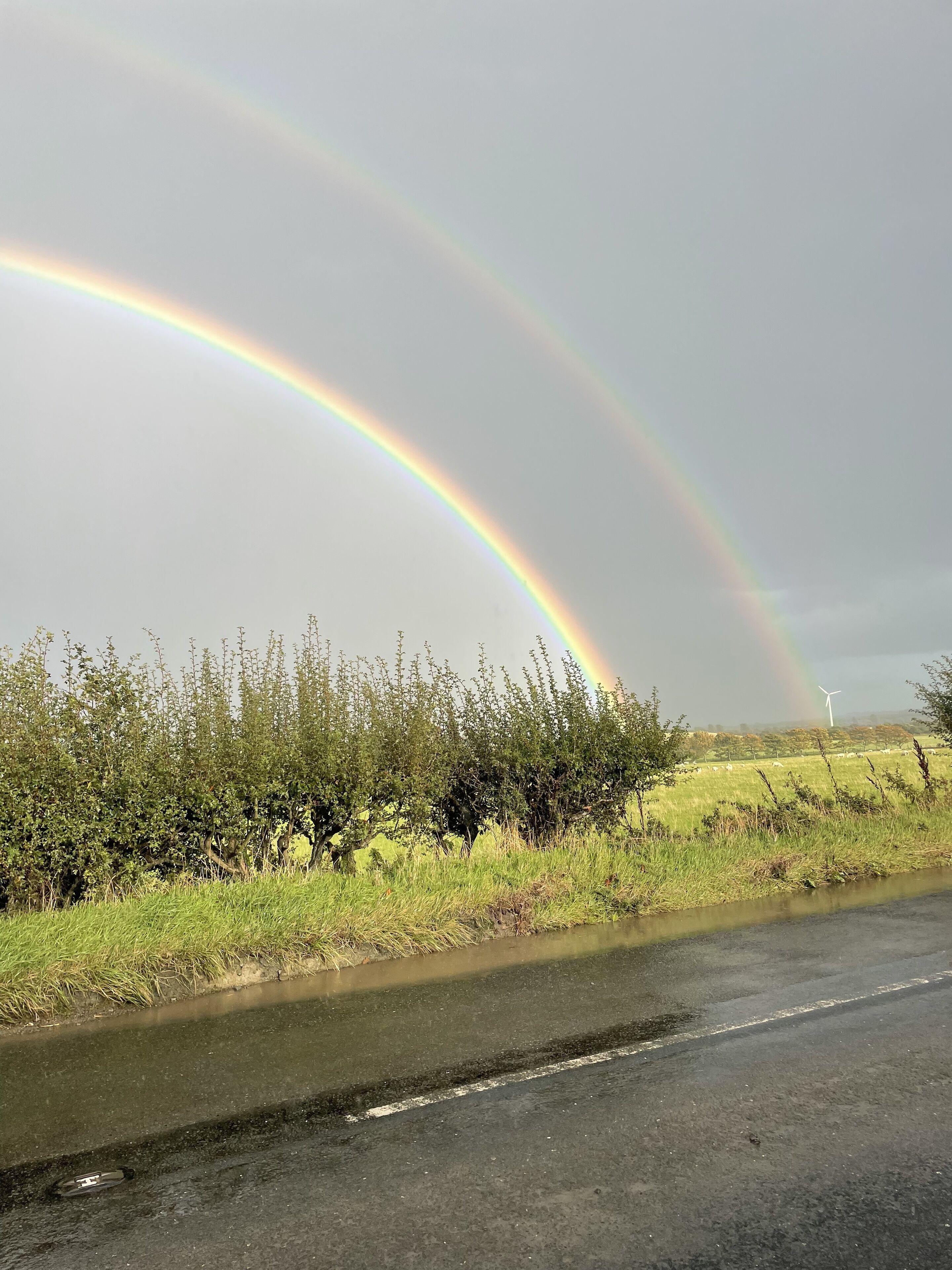 A rural landscape with a rainbow, a road, and wind turbines in the distance.