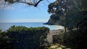 Paesaggio costiero con vista sul mare, una scogliera rocciosa e vegetazione lussureggiante.
