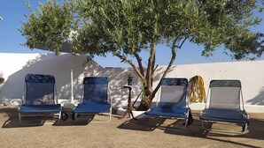 Four blue lounge chairs arranged in a row under a tree, with a white wall and a clear blue sky in the background.