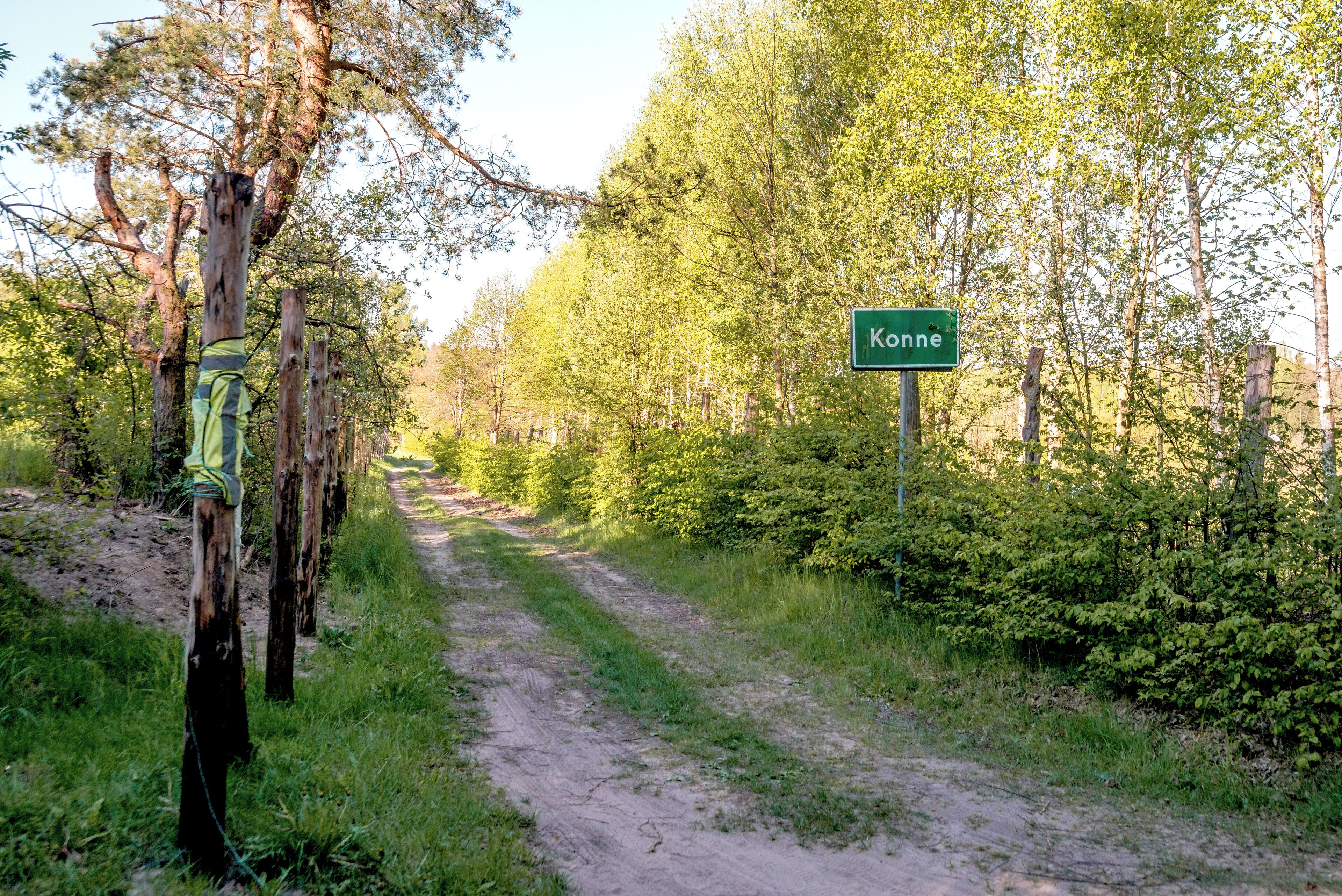 En grusväg som leder genom ett skogsområde, och en grön skylt visar vägen till "Konne".
