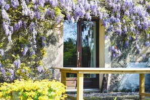 A wooden bench in front of a building with a door, surrounded by purple wisteria and yellow flowers.