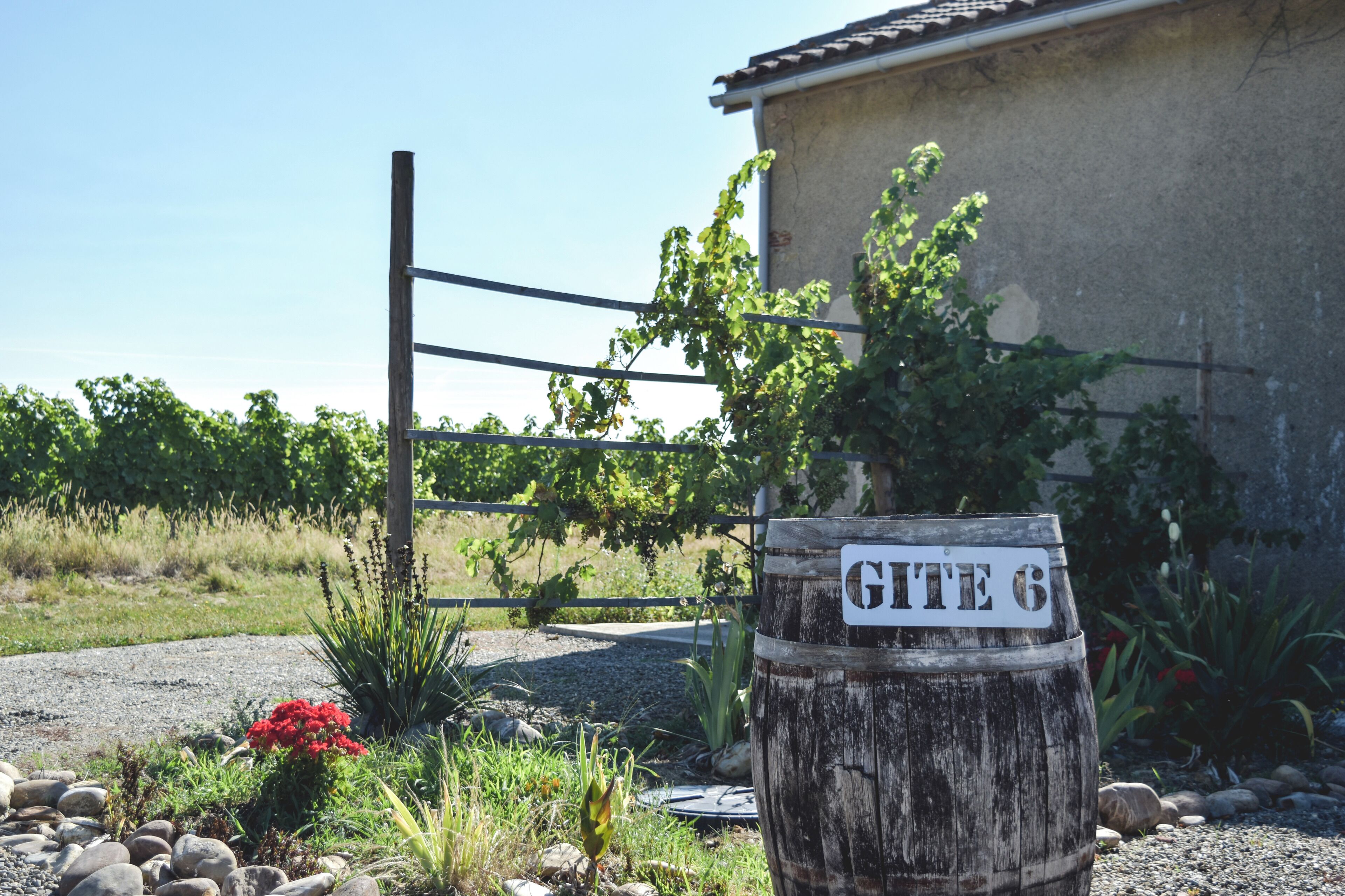 Cottage 6 L'Atelier - 3 bedrooms | Terrace/patio