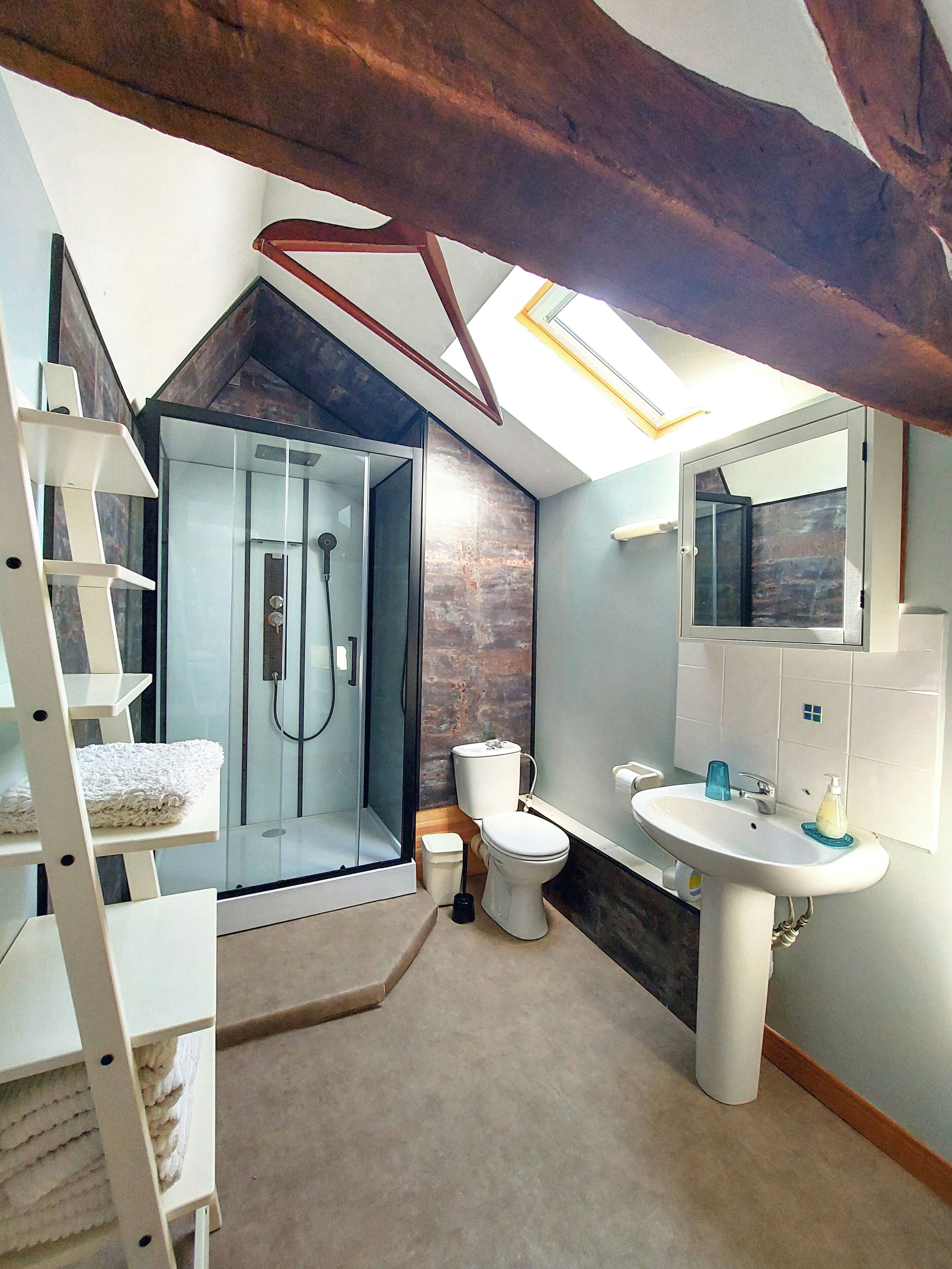 A modern bathroom with a glass-enclosed shower, a white toilet, and a sink with a mirror.
