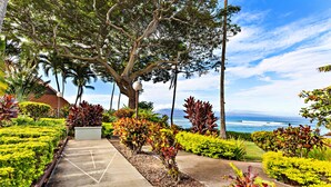 A paved pathway lined with various plants and trees, leading towards a view of the ocean. - Tropical vibes, sleek style, a peek at the Ocean (Lahaina)