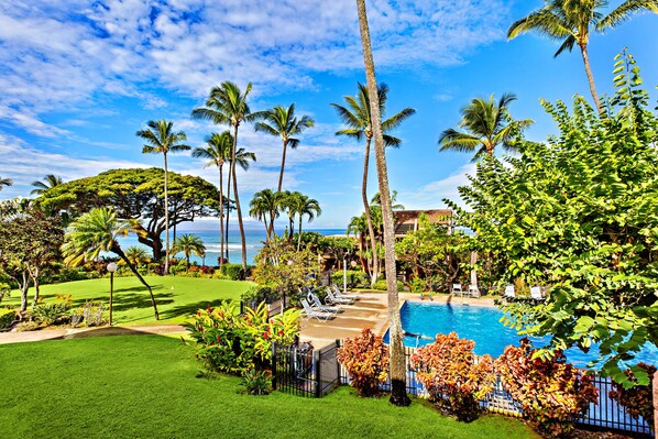 A pool area with lounge chairs, palm trees, and a view of the ocean.