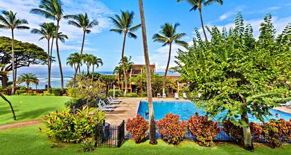 Tropical vibes, sleek style, a peek at the Ocean