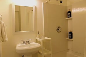 Shower, hair dryer, bidet, towels