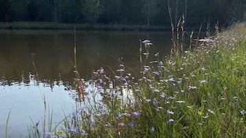 Un lac paisible, bordé de rives verdoyantes et avec des arbres en arrière-plan.