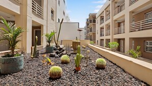 Een binnenplaats met potplanten en cactussen, omgeven door meerlaagsgebouwen met balkons.