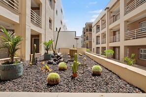 Een binnenplaats met potplanten en cactussen, omgeven door meerlaagsgebouwen met balkons.