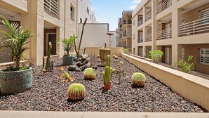 A courtyard with potted cacti and plants, surrounded by multi-story buildings with balconies.