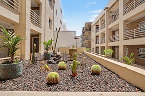 Een binnentuin met potten met cactussen en planten, omringd door meerlaagsgebouwen met balkons.
