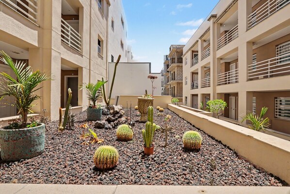 A courtyard with potted cacti and plants, surrounded by multi-story buildings with balconies.