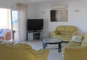 TV, fireplace, video games, DVD player