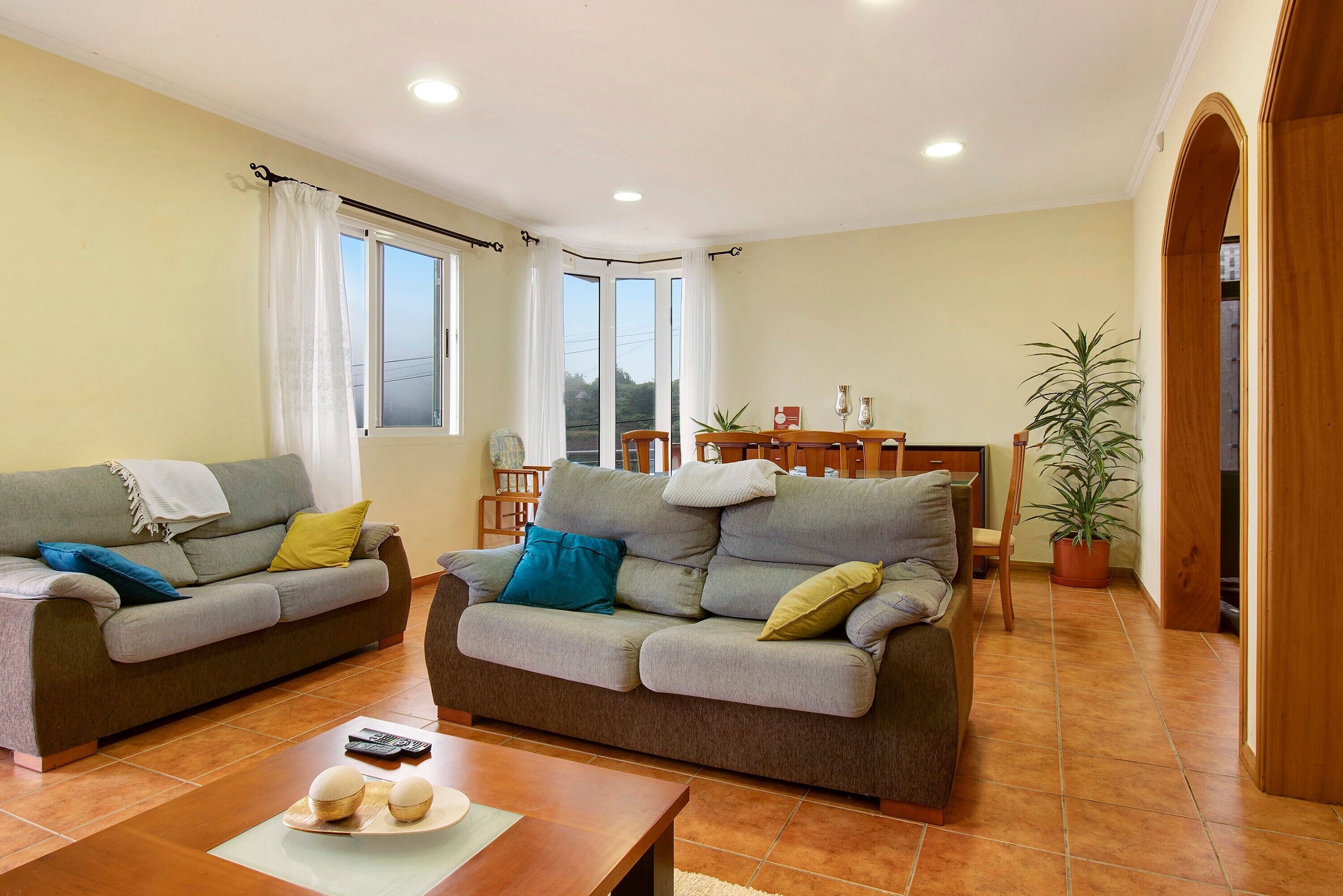 A living room with two sofas, a dining table, and a potted plant.