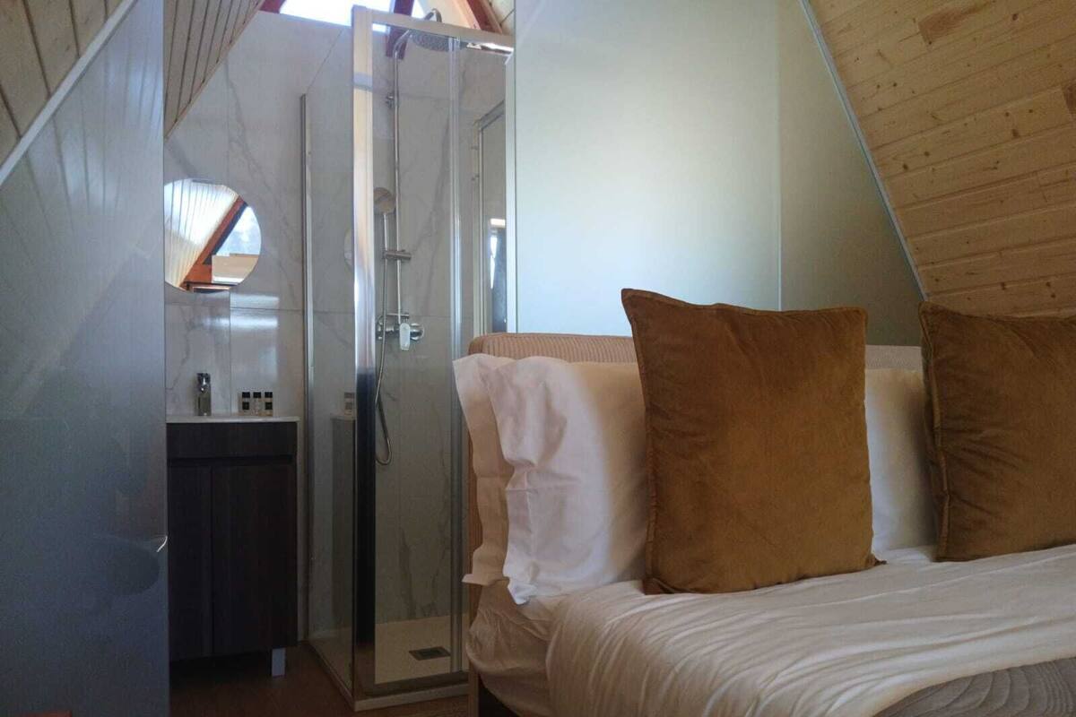 A bedroom with a bed, pillows, a glass shower enclosure, and a small bathroom with a sink and mirror.
