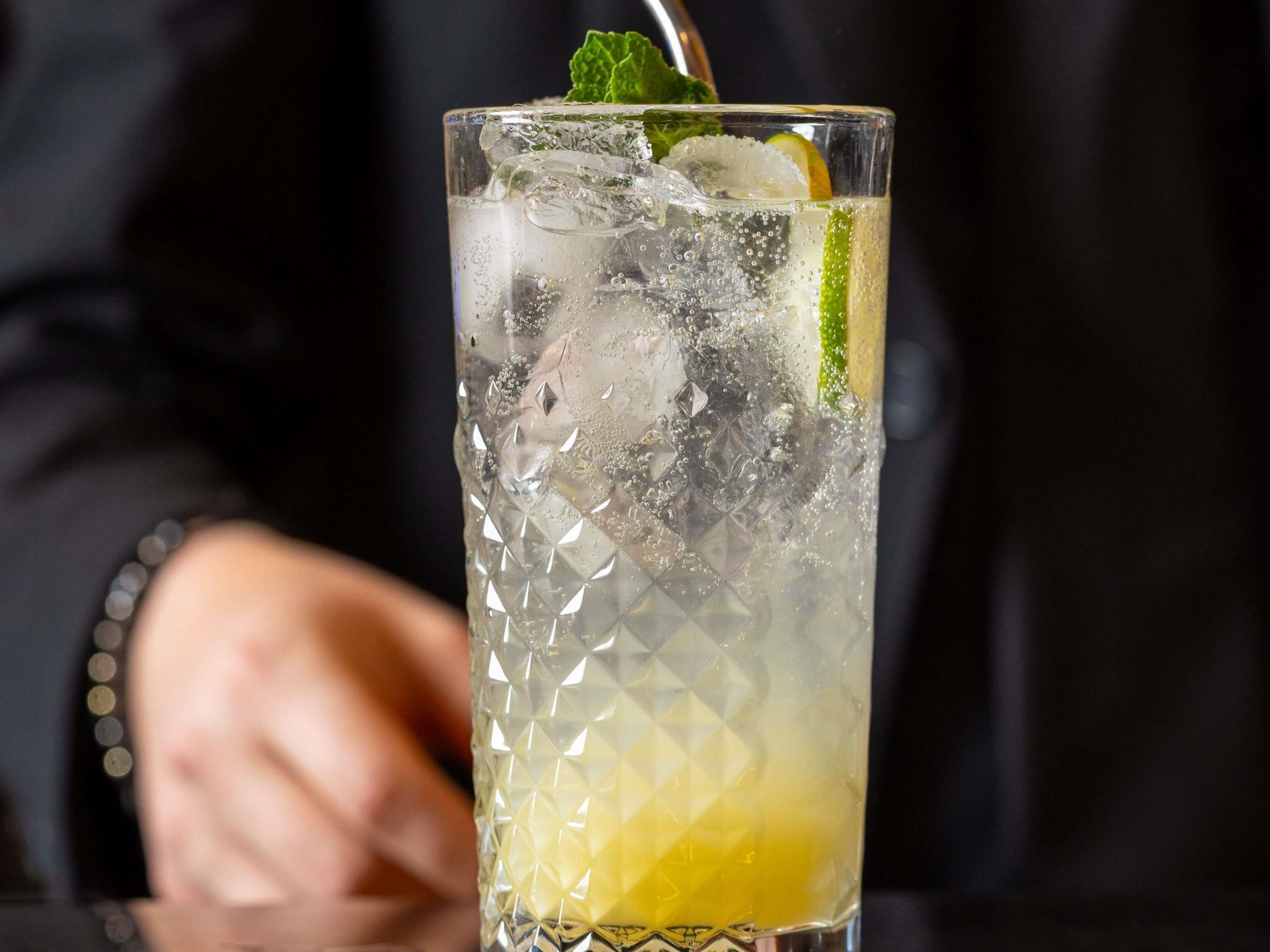 A tall glass with ice cubes, a slice of lime, and a mint leaf garnish.