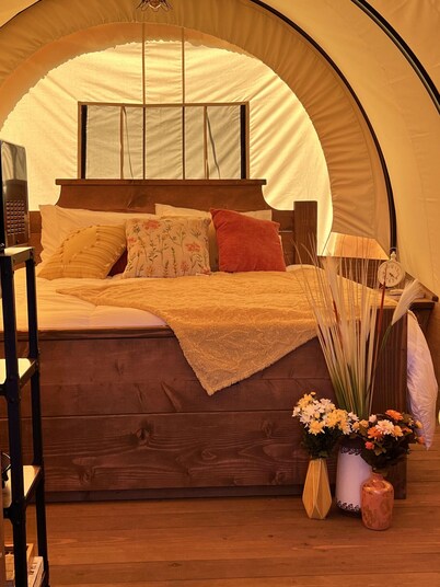 Pioneer's Dream~1883 Inspired~Covered Wagon~BISON~Heat and A/C