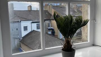 Deluxe Apartment | View from room