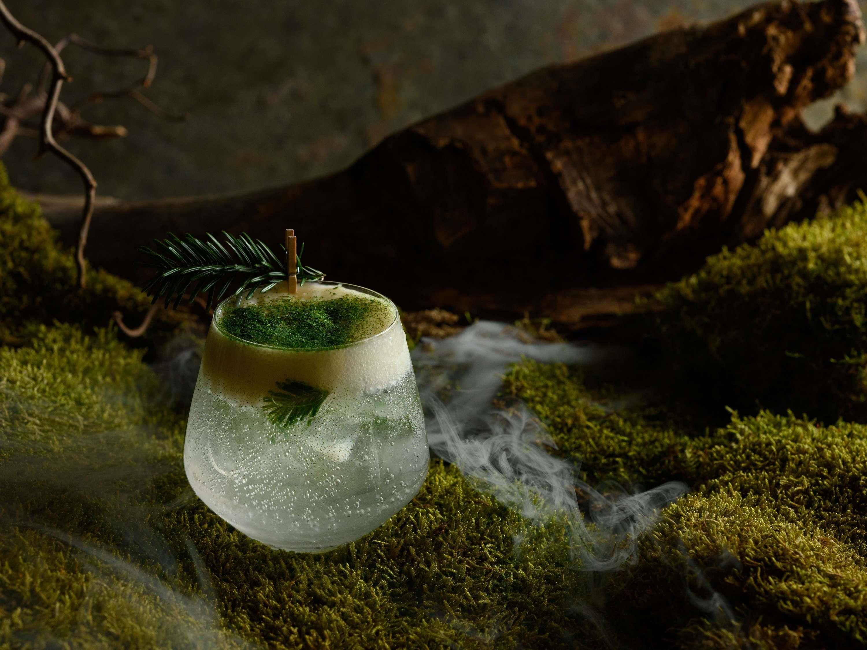 Ein Glas mit schaumigem Getränk, ein Zweig Tannenzapfen und Rauch, vor einem moosbewachsenen Hintergrund mit einem Baumstamm.